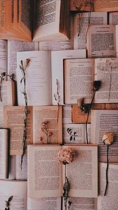 stories_by_lex