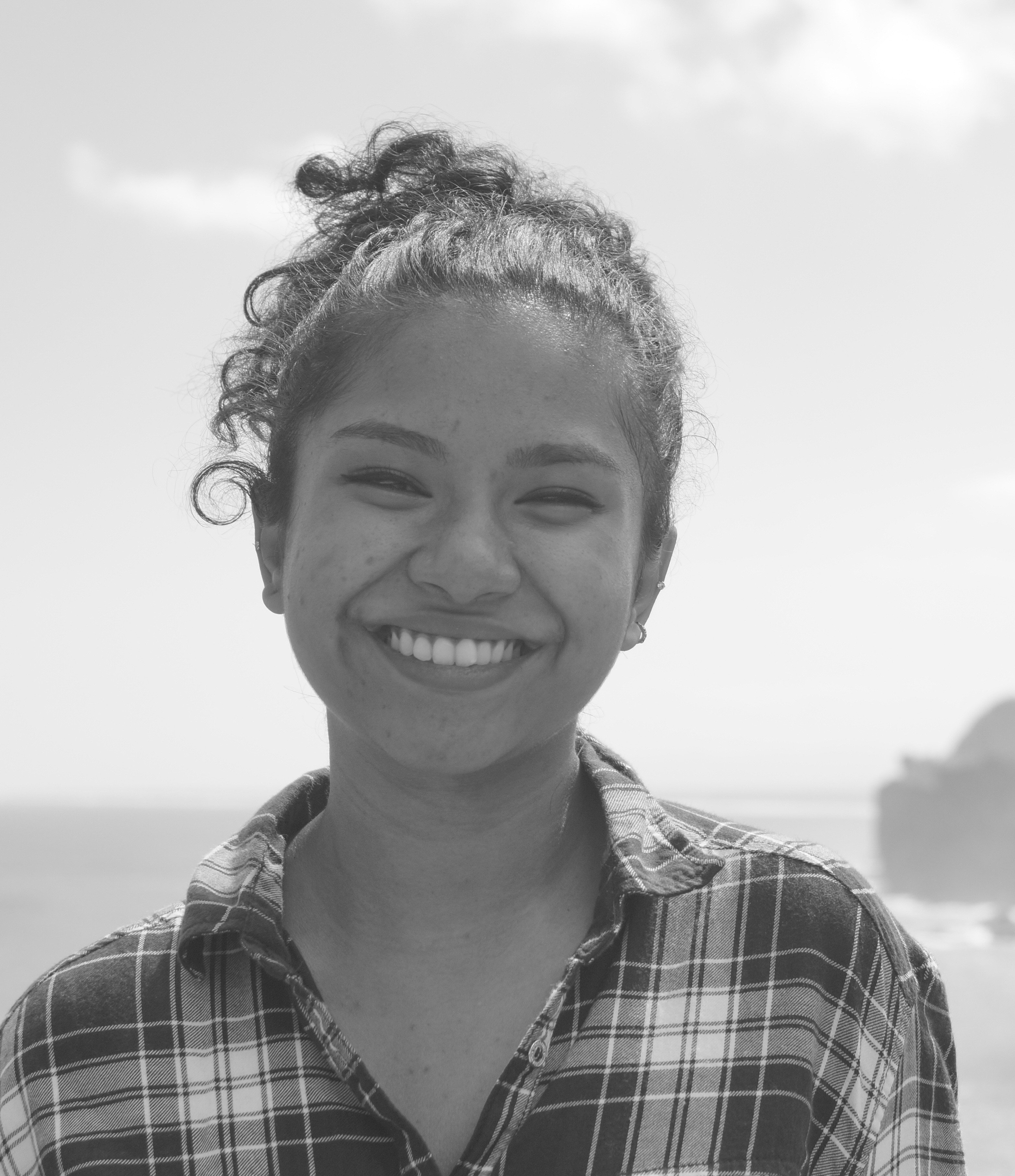 Vidhisha Marak