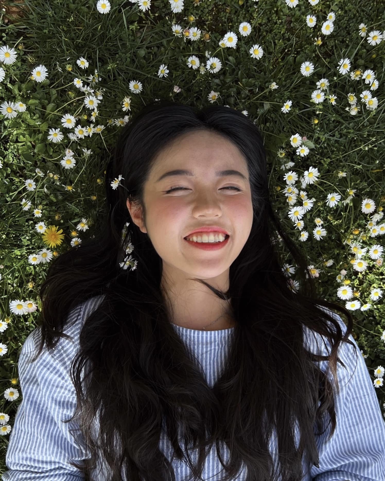halloanh_